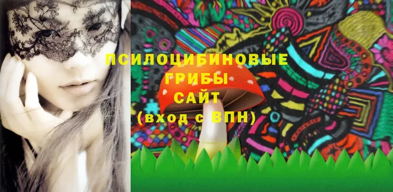 цены   Рославль  Галлюциногенные грибы Psilocybine cubensis 